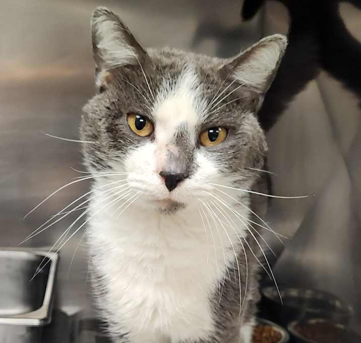 Photo of Hermes