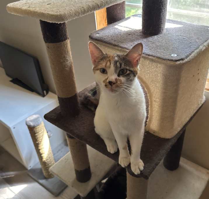 Photo of Amelia