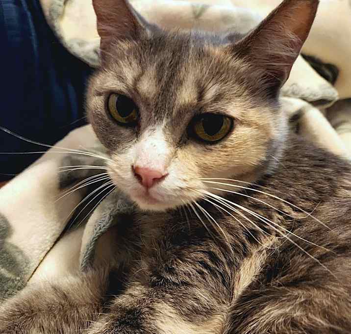 Photo of Lila