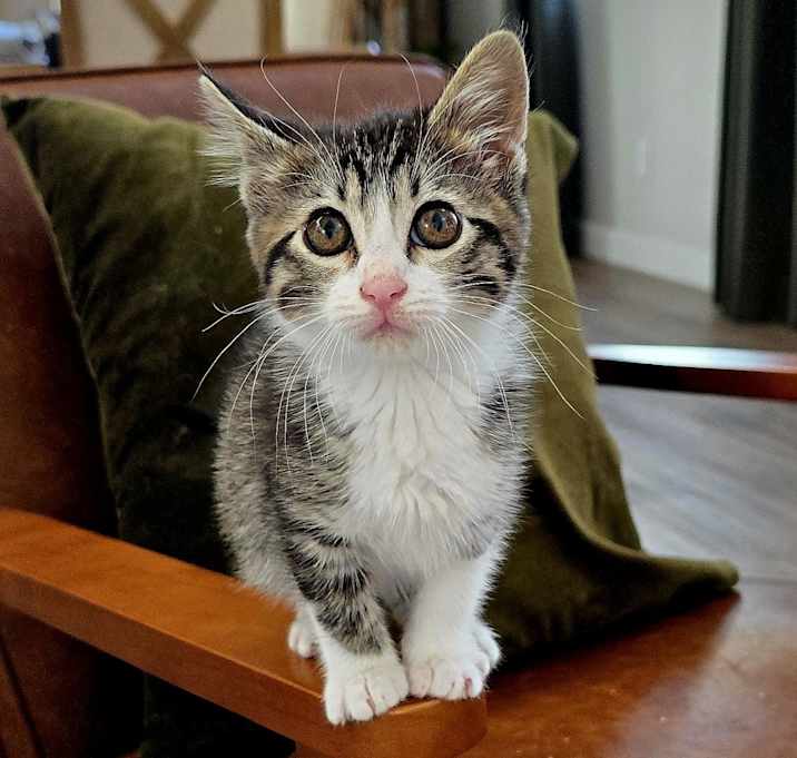 Photo of Thumbelina