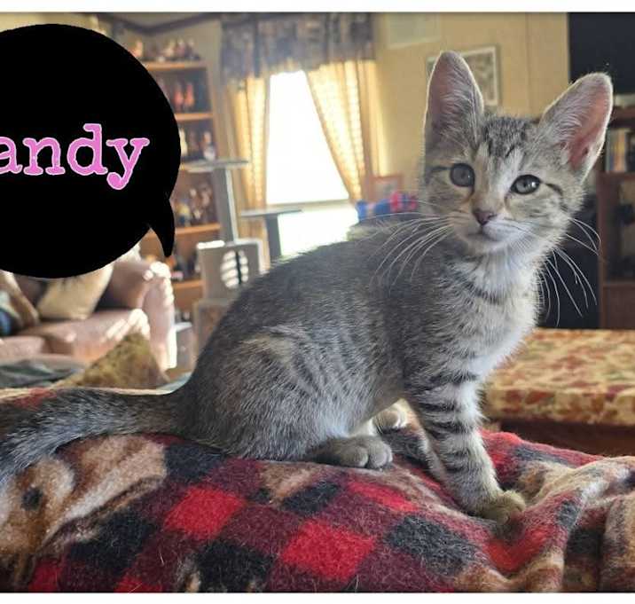 Photo of Sandy