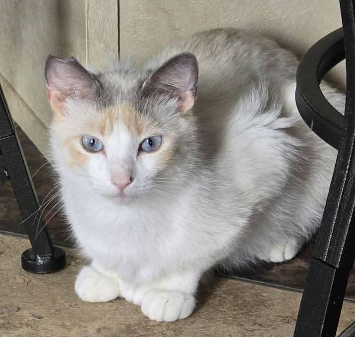 Photo of Charlotte