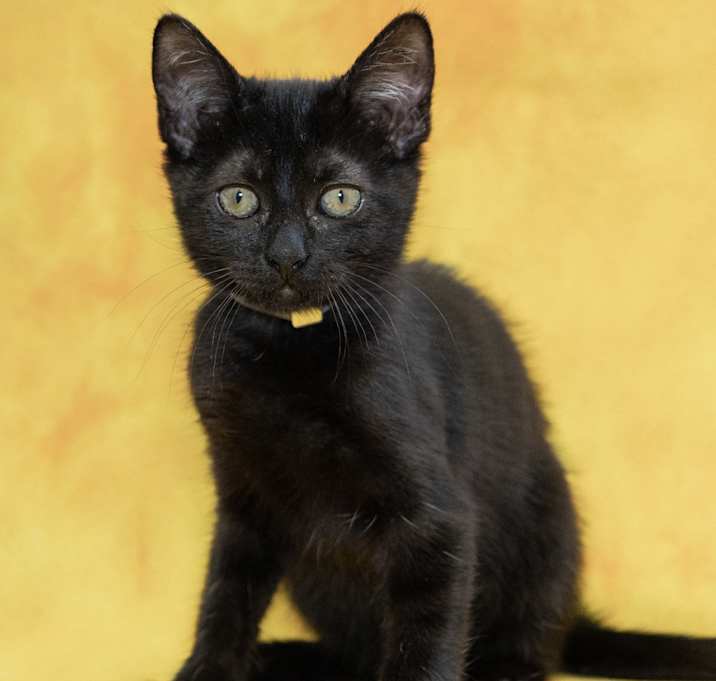 Photo of Fuzzy