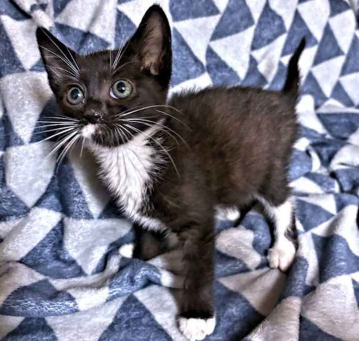 Photo of Luna