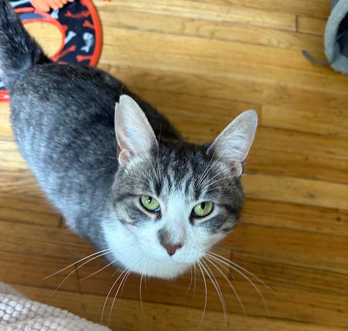 Photo of Echo