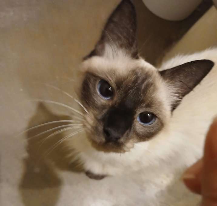 Photo of Charles