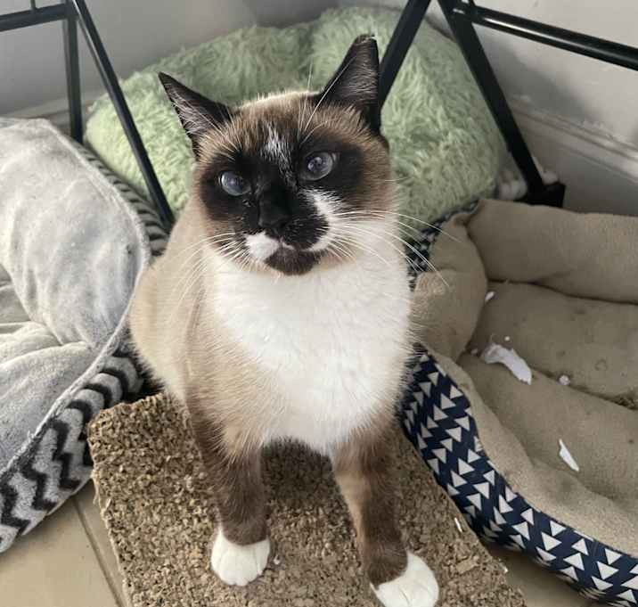 Photo of Bella