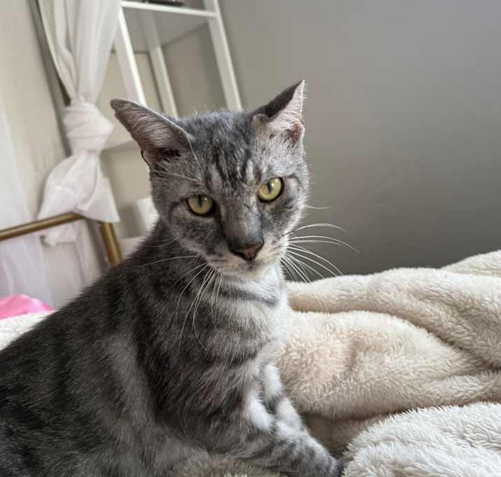 Photo of Melvin
