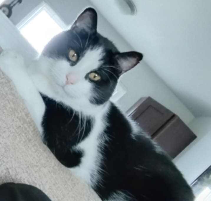 Photo of Mickey