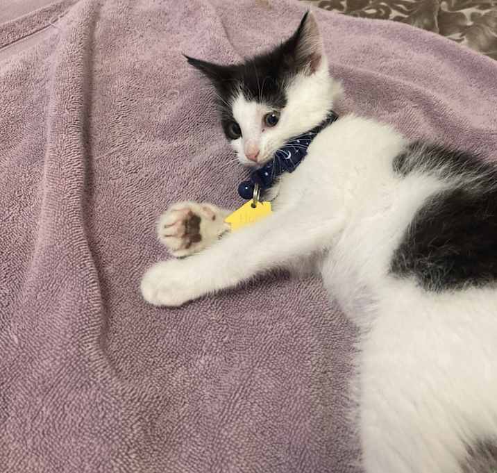 Photo of Buttons