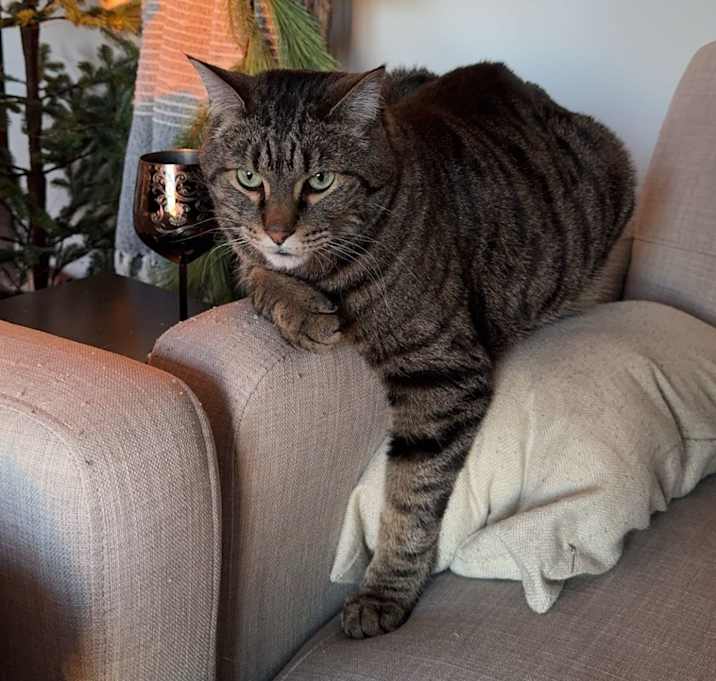Photo of Storm