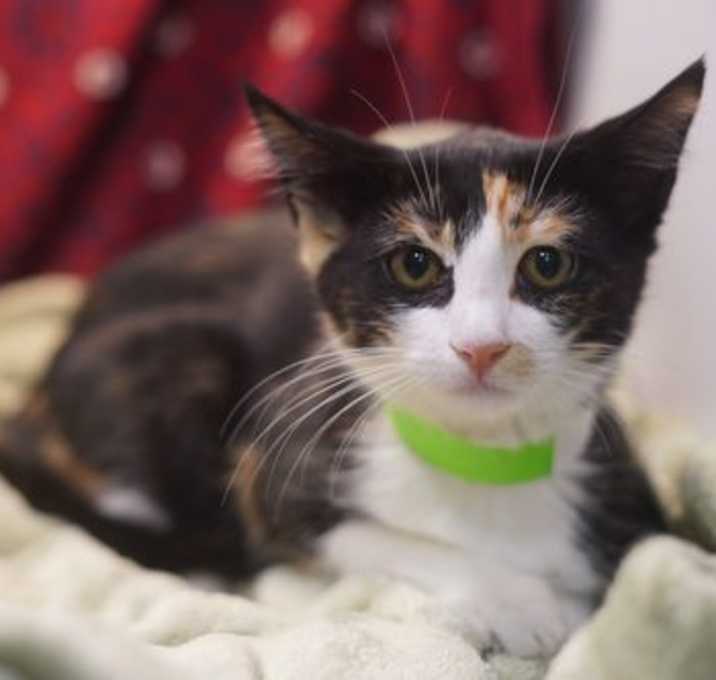 Photo of Tia