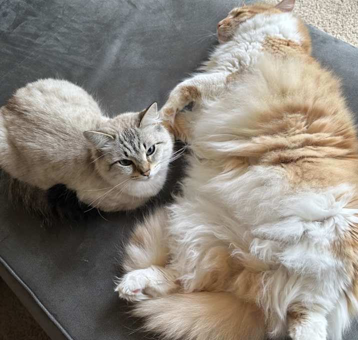 Photo of Zoey