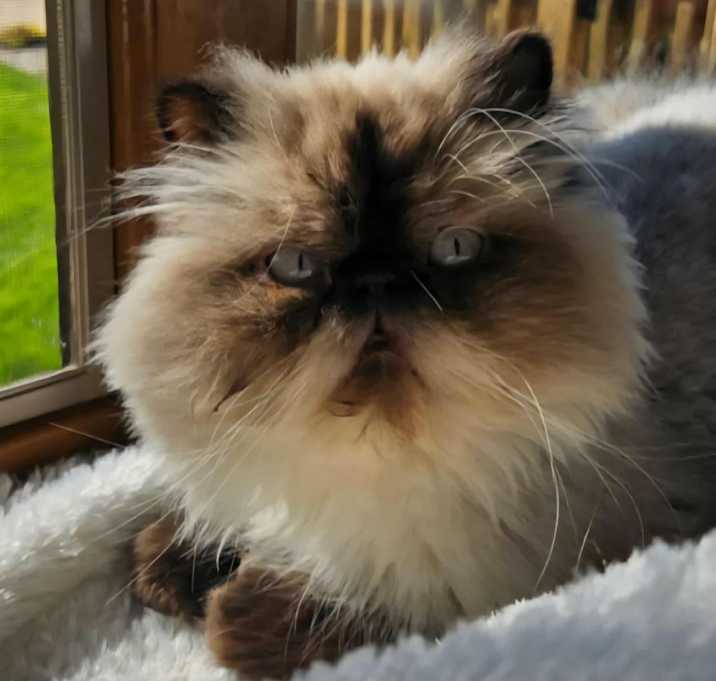 Photo of Jerry