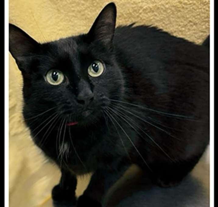 Photo of SALOME
