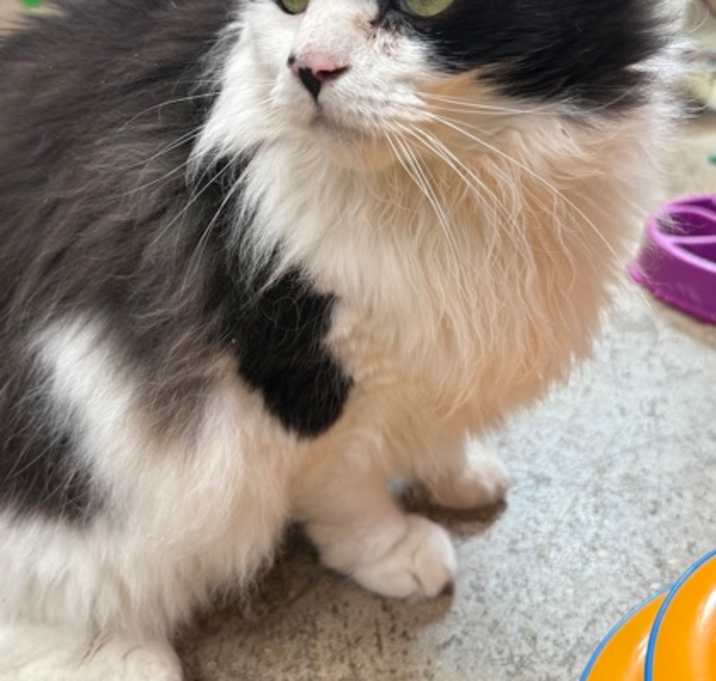 Photo of Oreo Carson