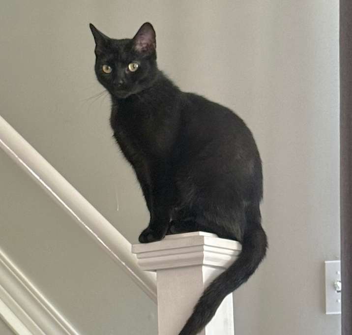Photo of Kamiyah