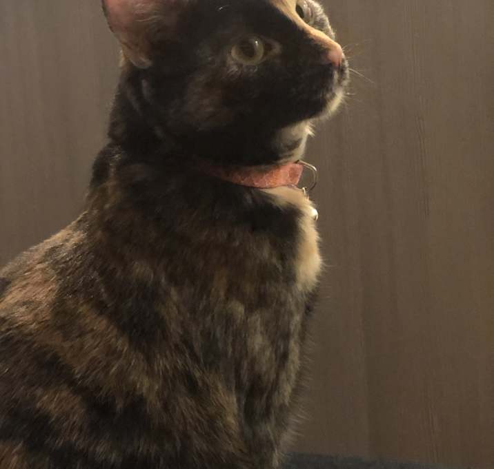Photo of Duchess