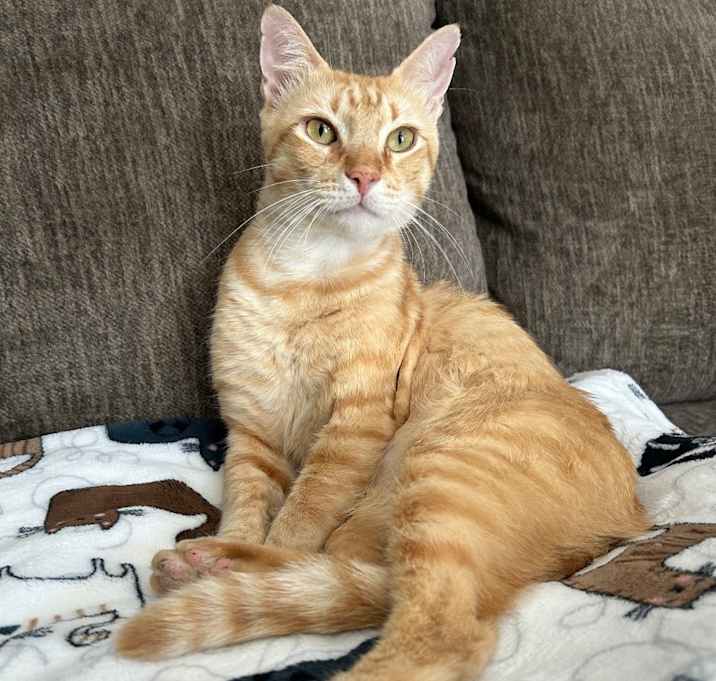 Photo of Deuce