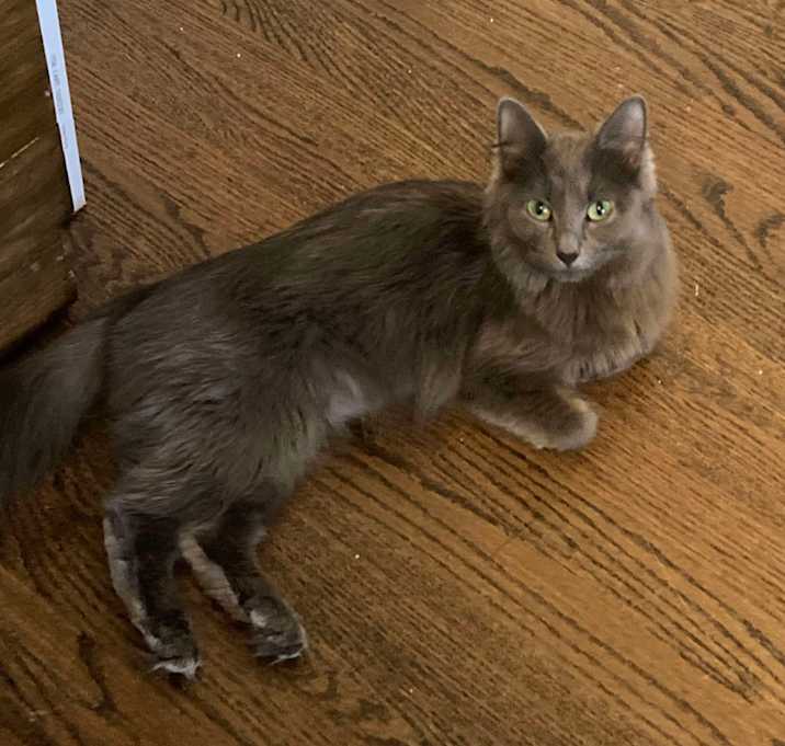 Photo of Ms. Iris