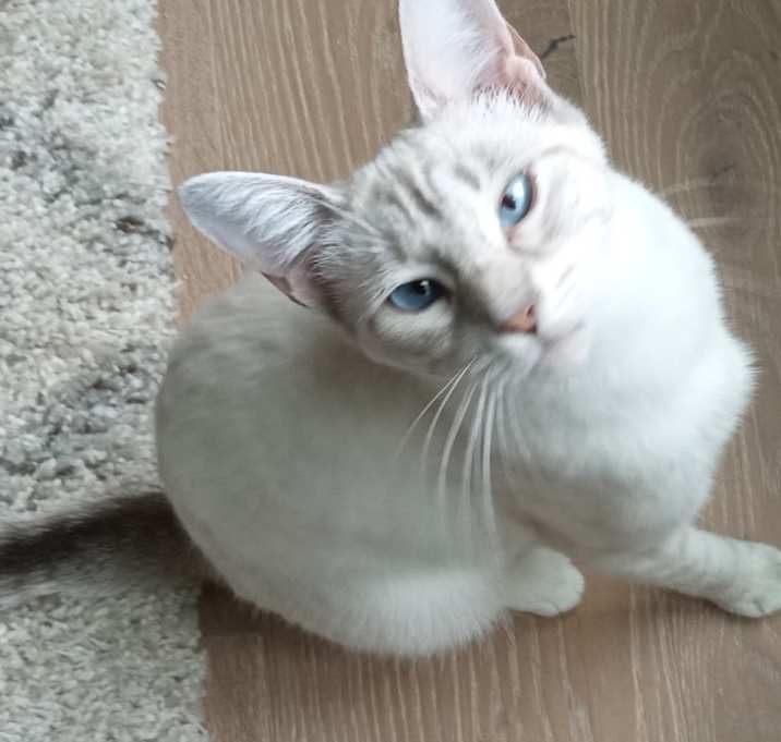 Photo of Maggie