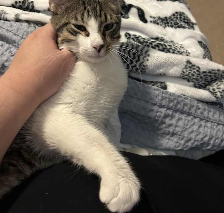 Photo of Kayzie