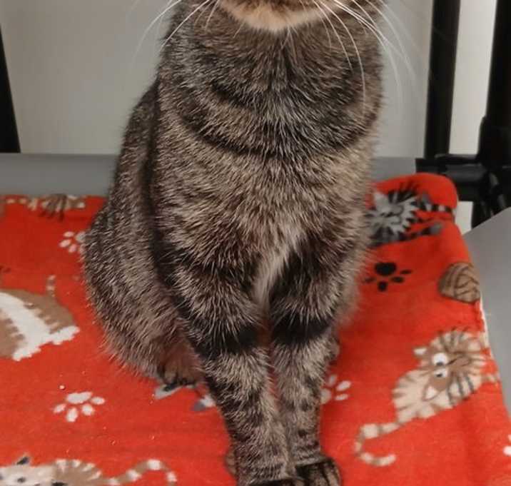 Photo of Emerald