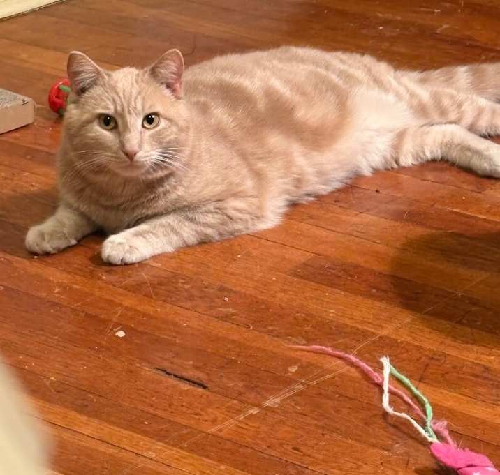 Photo of Biff