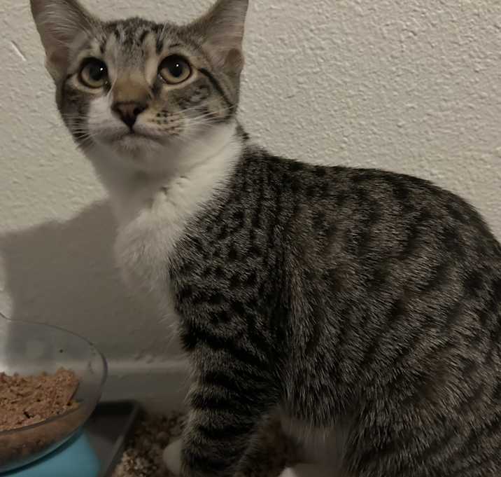 Photo of No name