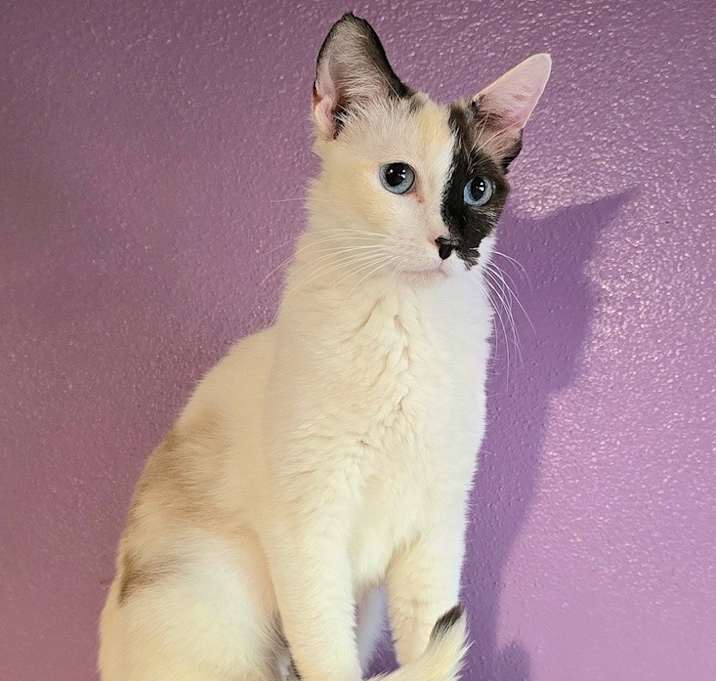 Photo of Kimber