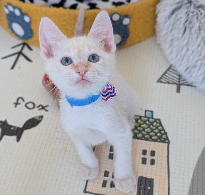 Photo of Ruffles