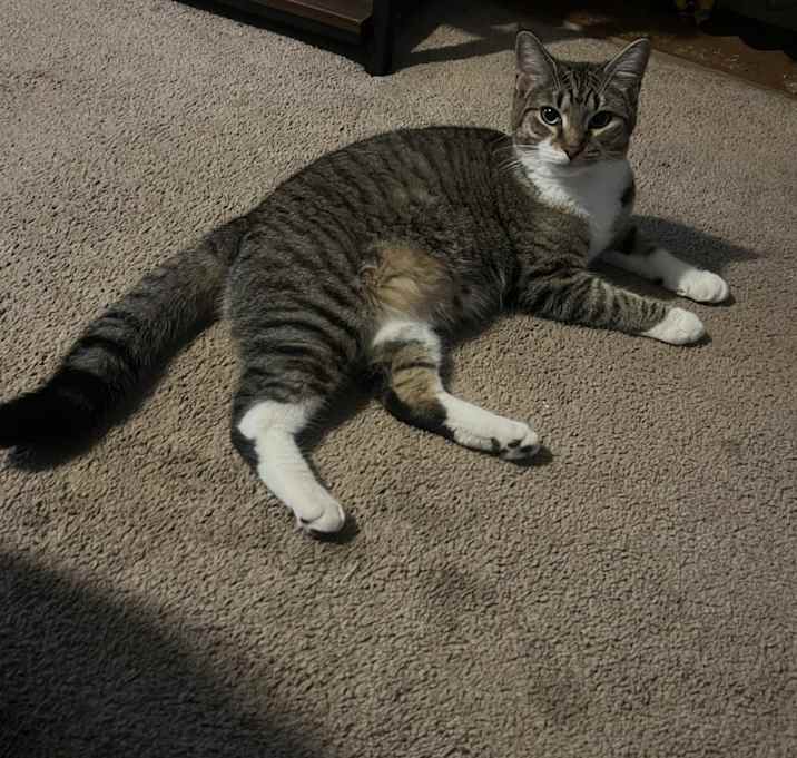 Photo of Rosemary