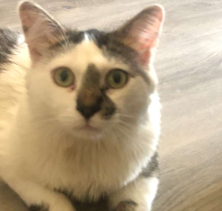 Photo of Metro