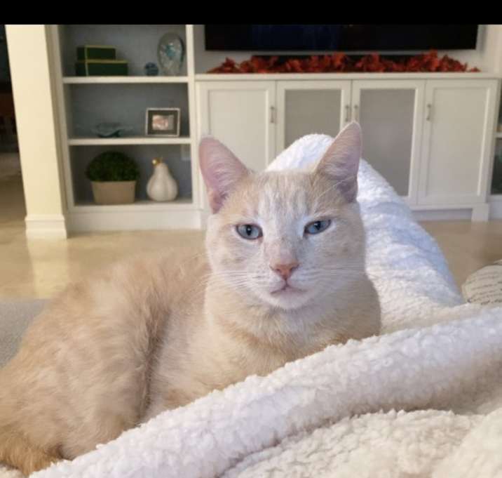 Photo of Gatsby