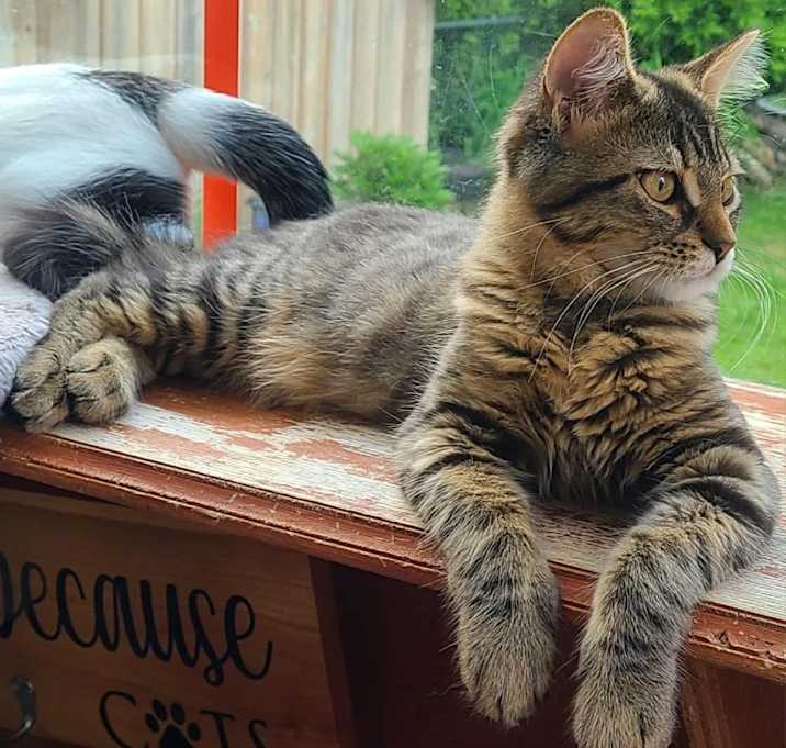 Photo of Max