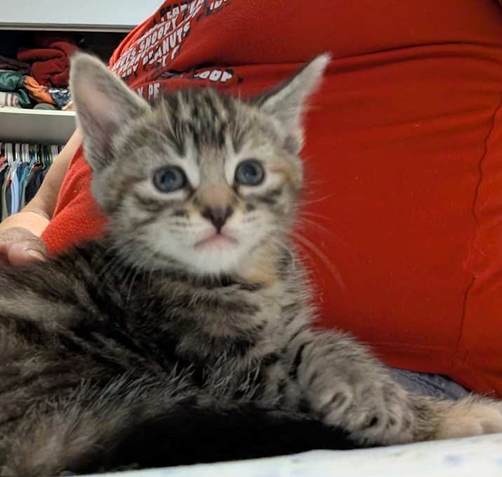 Photo of BabyWinter