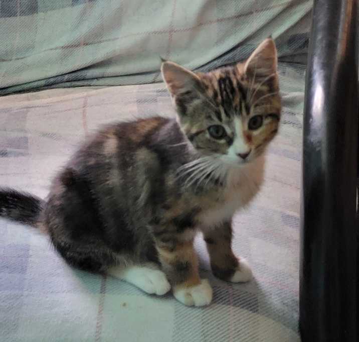 Photo of APRIL