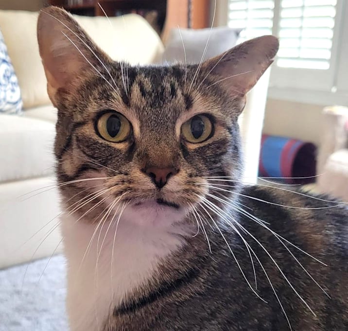 Photo of Sadie