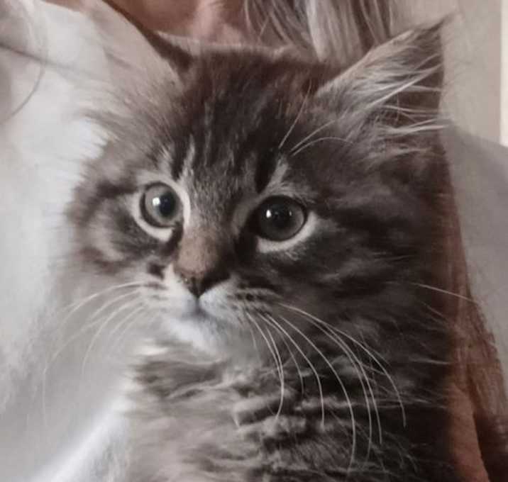 Photo of Cleopatra