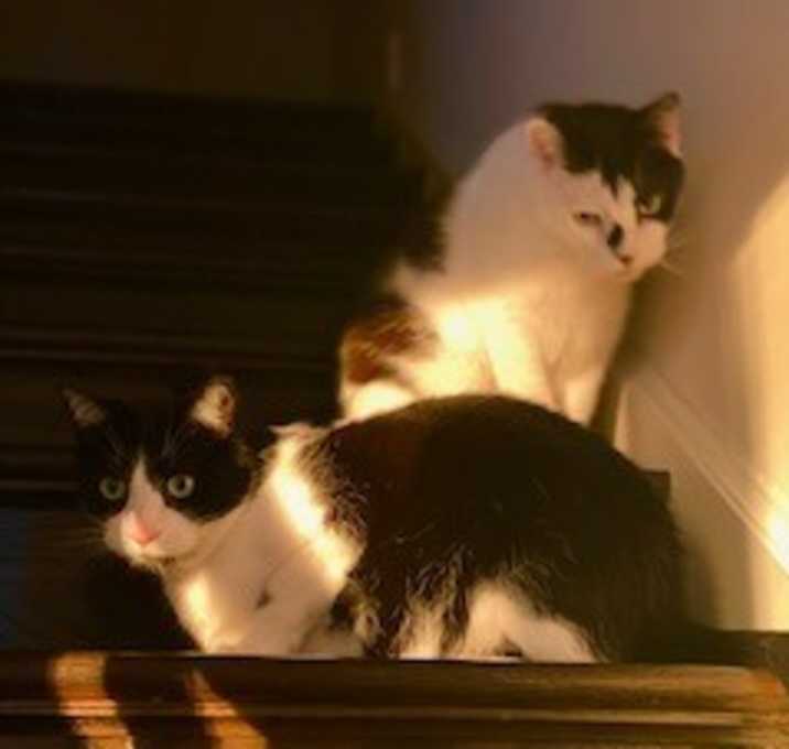Photo of Mo
