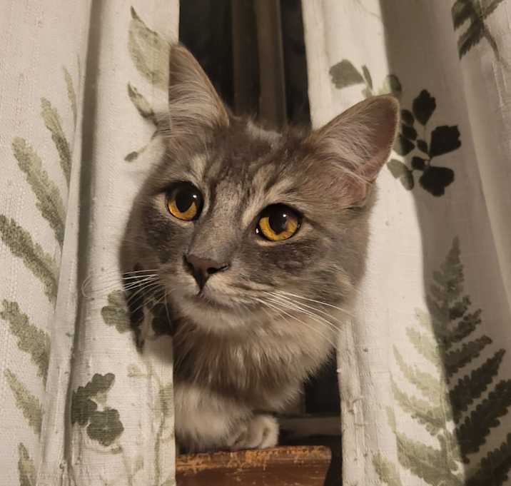 Photo of Muriel