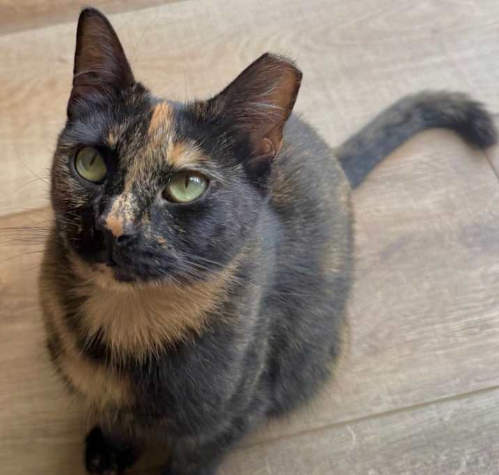 Photo of Eva