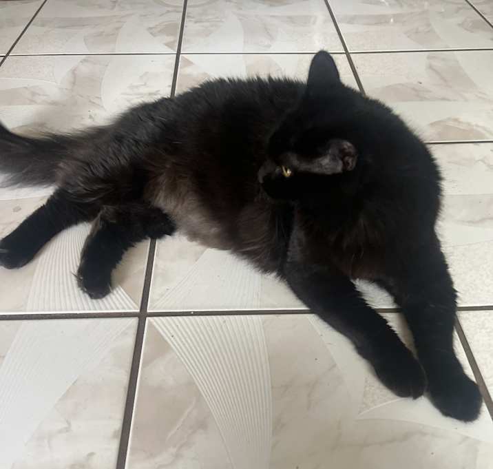 Photo of Sage