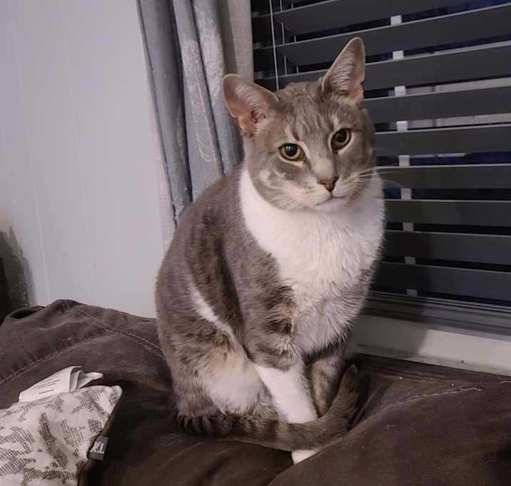 Photo of Franklin