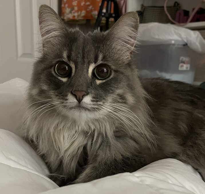 Photo of Kiki