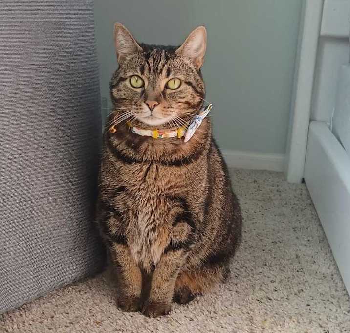 Photo of Sassy