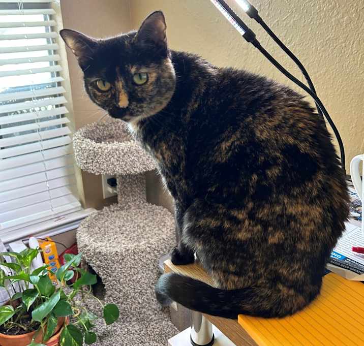 Photo of Jada