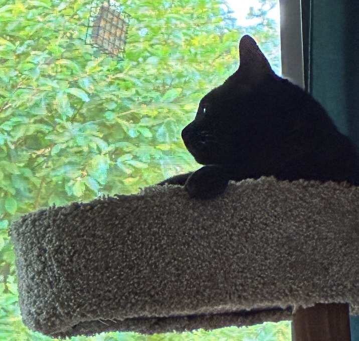 Photo of Tom