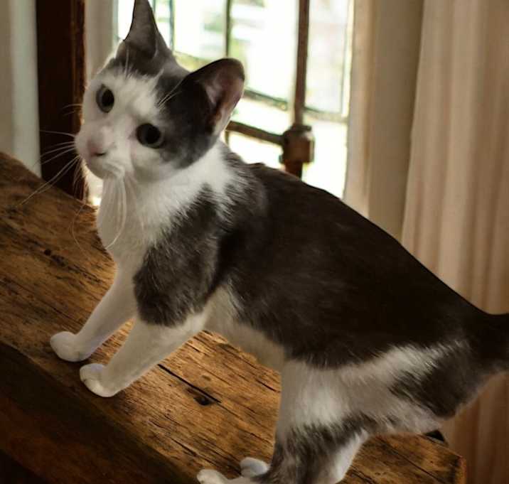 Photo of Young Adult Female