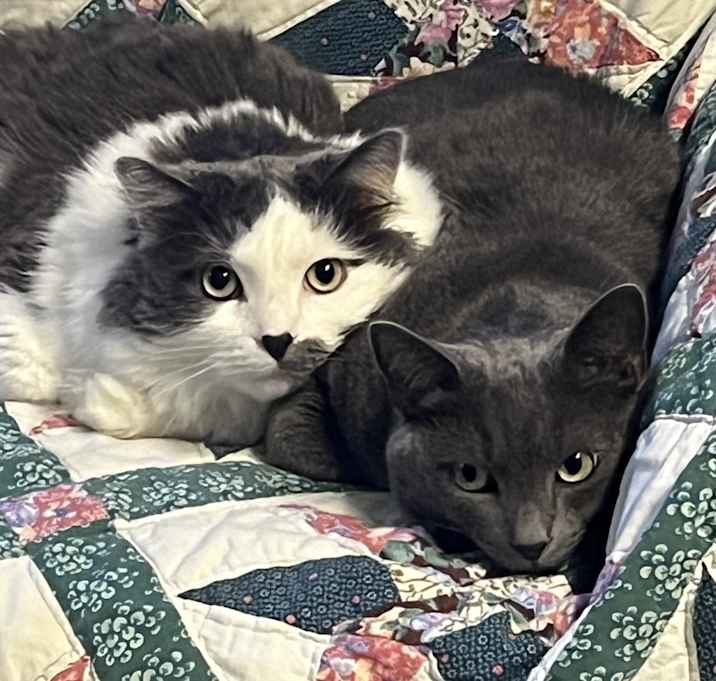 Photo of Smokey & Bandit